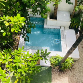 COZY HOUSE 3 BEDROOMS with MINI POOL A CASA DI ALEX PLAYA DEL CARMEN